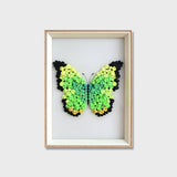Green Butterfly button art kit featuring a vibrant green butterfly design