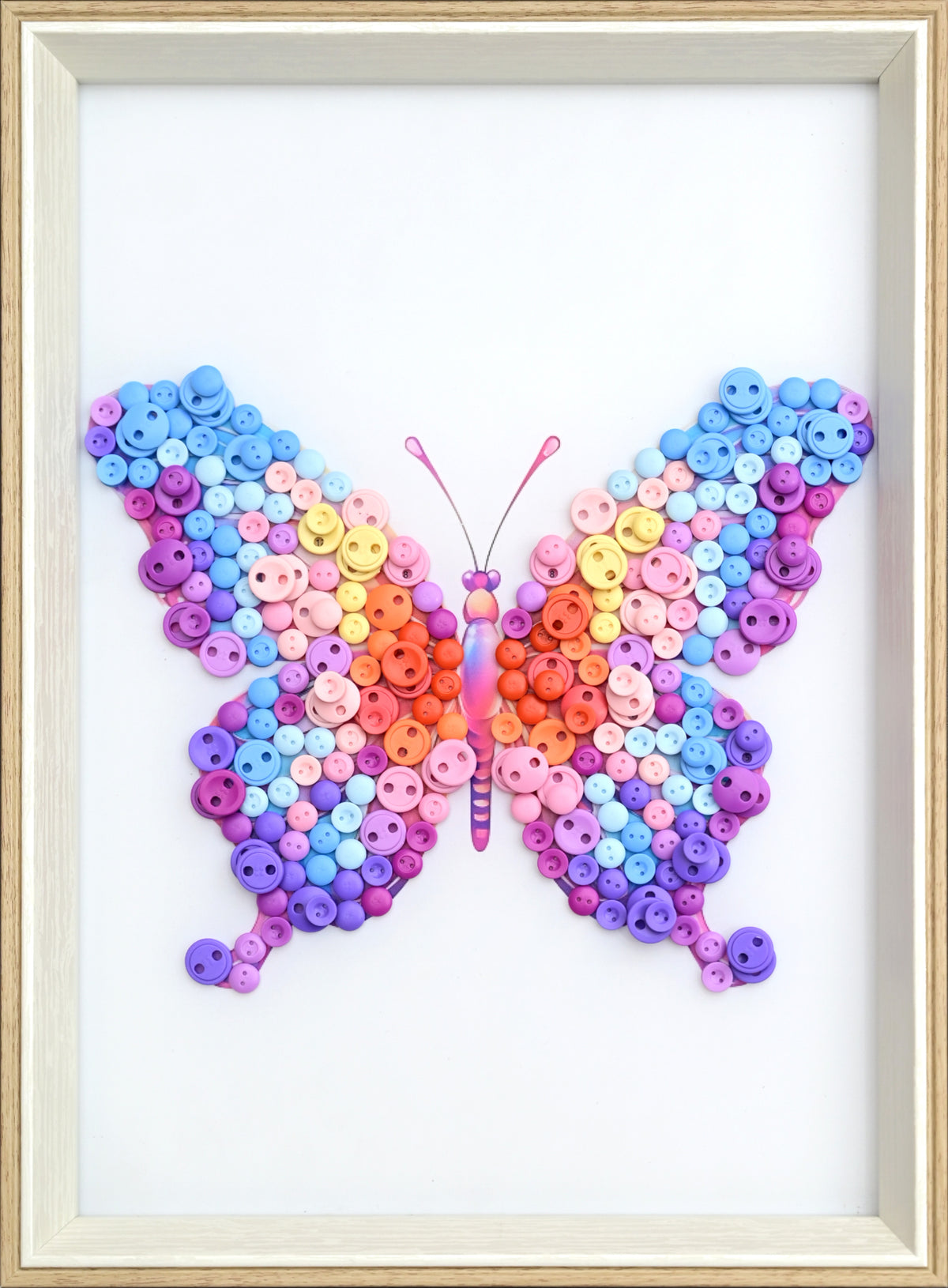 Pink-Purple Butterfly